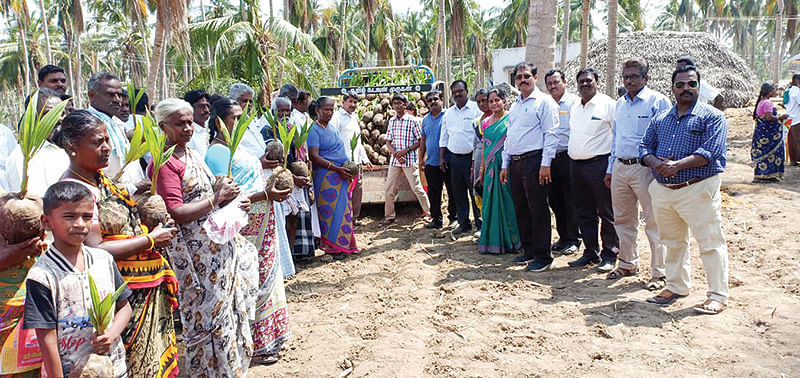 தென்னங்கன்றுகள் வழங்குதல்