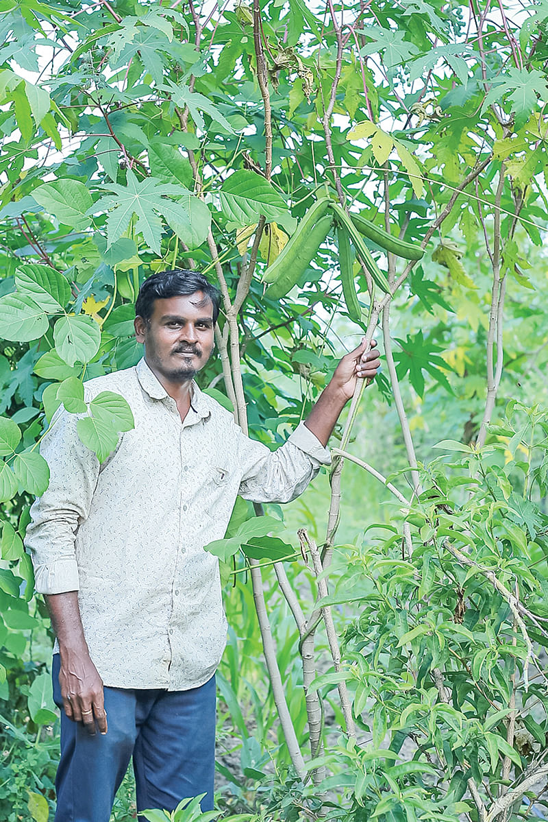 பண்ணையில் கருப்பசாமி
