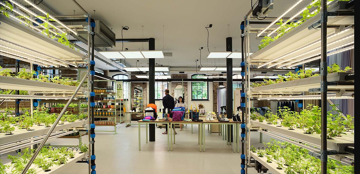 லண்டனில் பிரபலமாகும் சுரங்க வயல்கள்... 
நிலத்துக்கு கீழே நடக்கும் விவசாயம்!