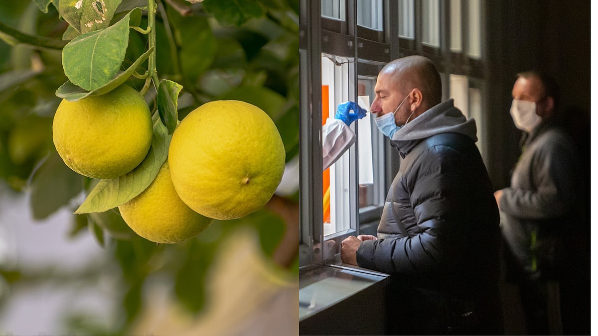 கோவிட் தொற்று அதிகரித்து வரும் சீனாவில் எலுமிச்சைப் பழங்களுக்கு டிமாண்ட்... இதுதான் காரணமா?