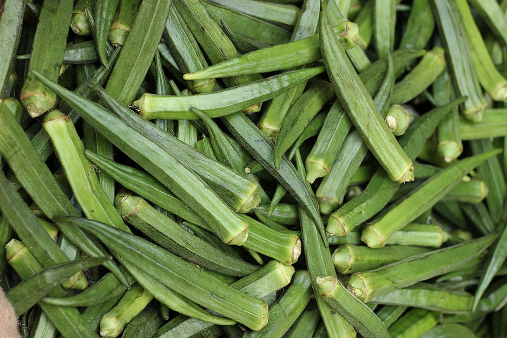 வெண்டை
