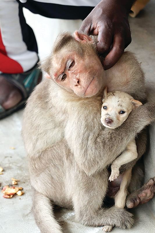 இன்பாக்ஸ்
