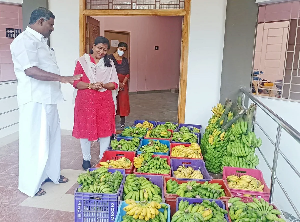 வாழைப்பழங்கள் வழங்கிய விவசாயி