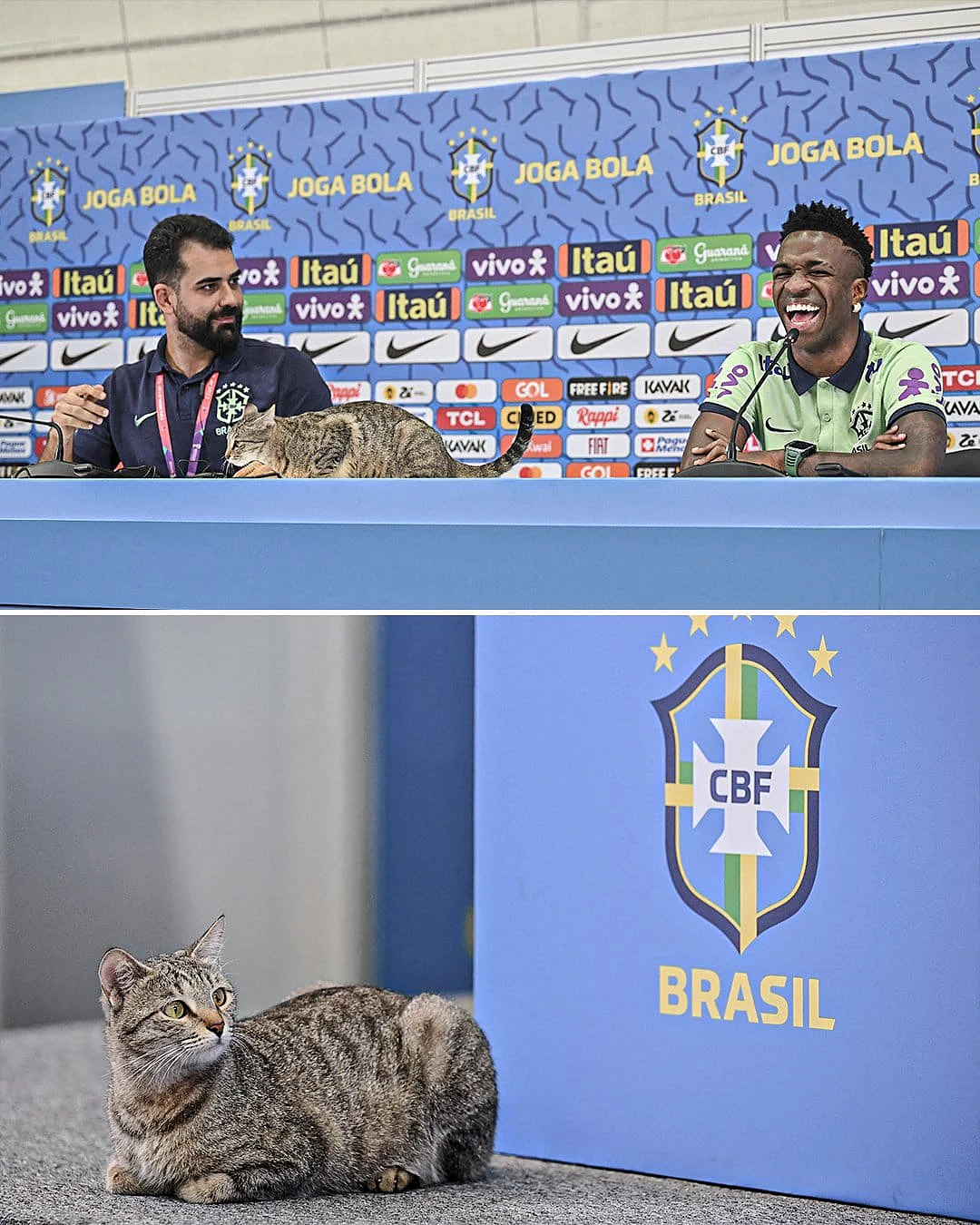 Press Conference