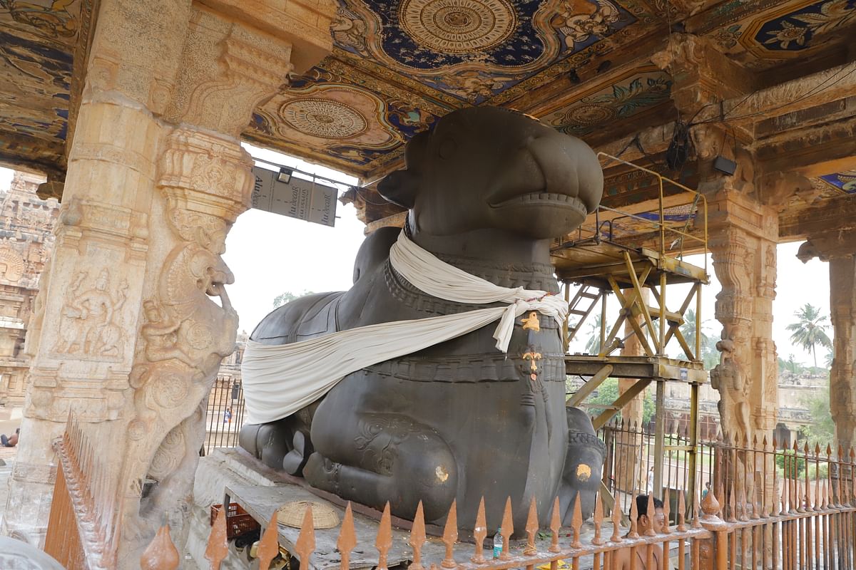 தஞ்சாவூர் பெரிய கோயில் நந்தி