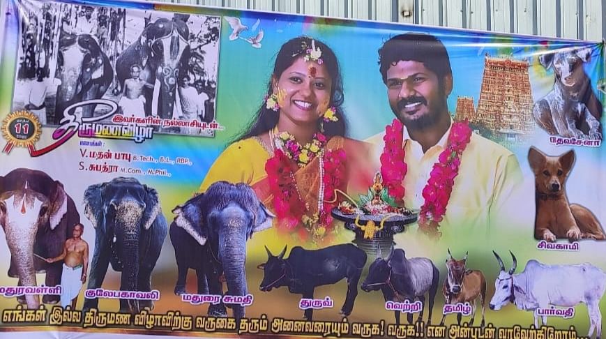 ஜீவராசிகளின் படங்களுடன் திருமண விளம்பரம்