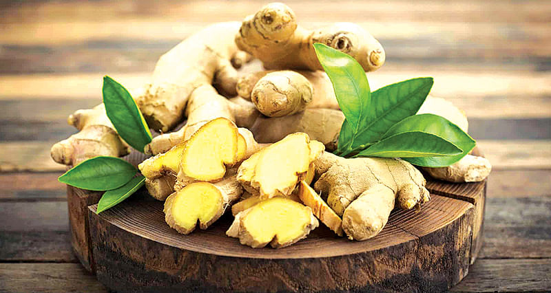 சிறுபீளை, ஆவாரை, மஞ்சள், இஞ்சி... பொங்கல் பண்டிகையில் ஆரோக்கியத்தை மீட்டெடுப்போம்!
