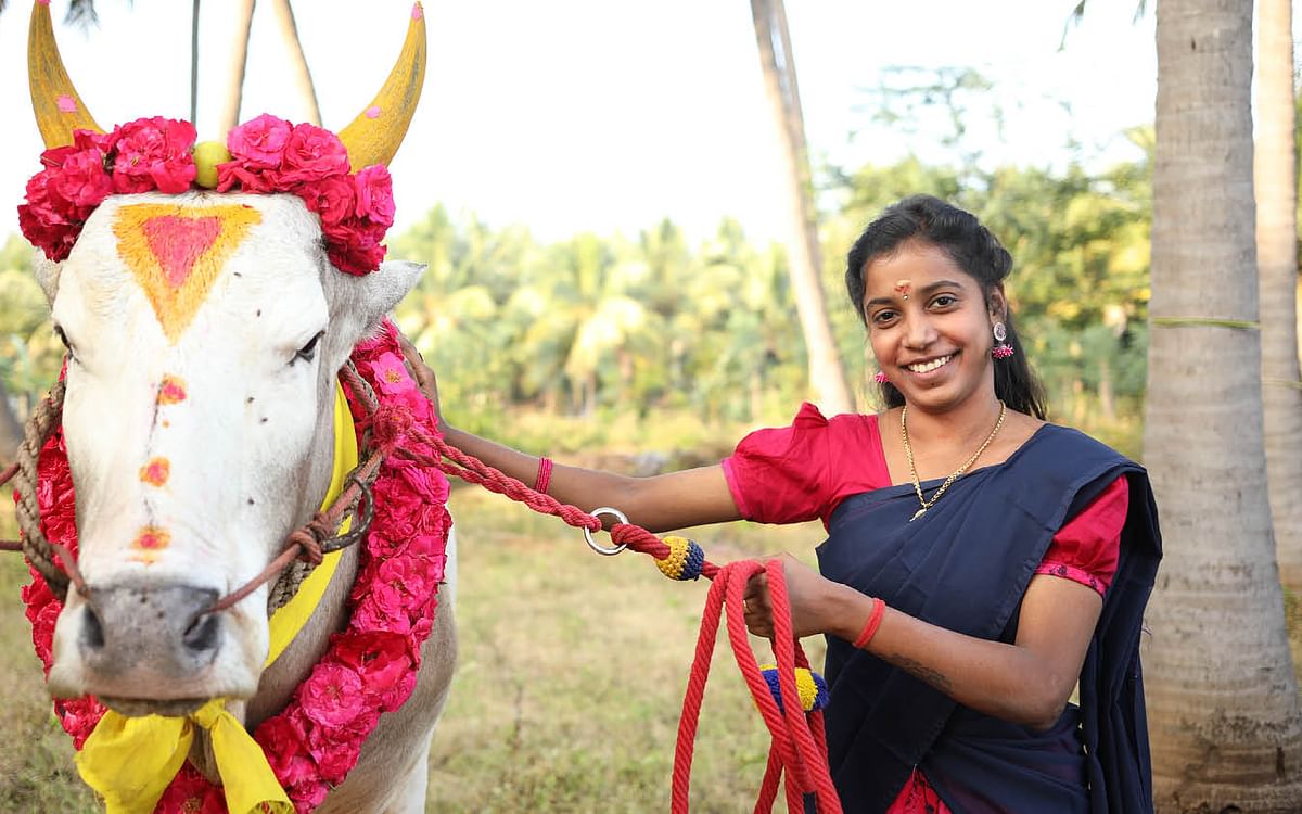 'ஊர் கூடி... உறவுகள் கூடி... இன்பம் பொங்கும் திருநாள் இது!'