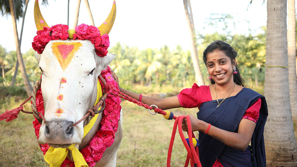 தேவகோட்டை அபிராமி
