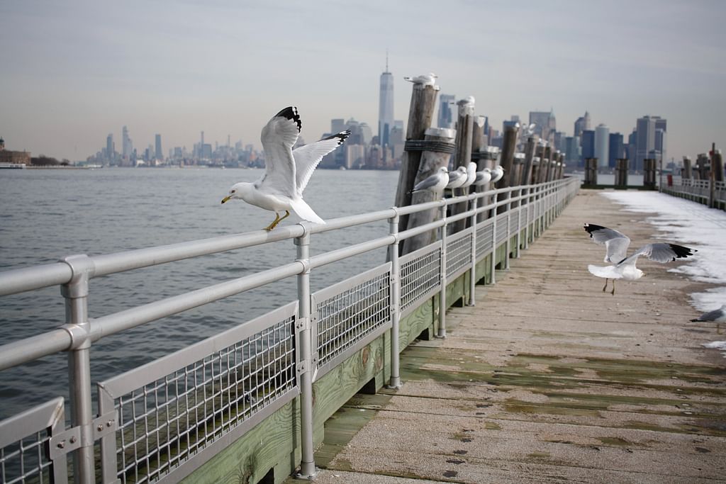 Liberty Island