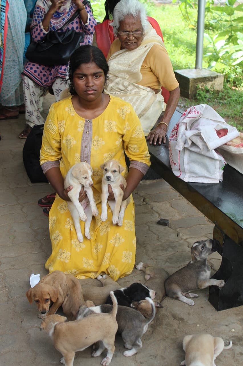 `இந்த நாய்க்குட்டிகளை காப்பாத்துங்க கலெக்டர் சார்!’ – 17 வயது மாணவியின் மனு