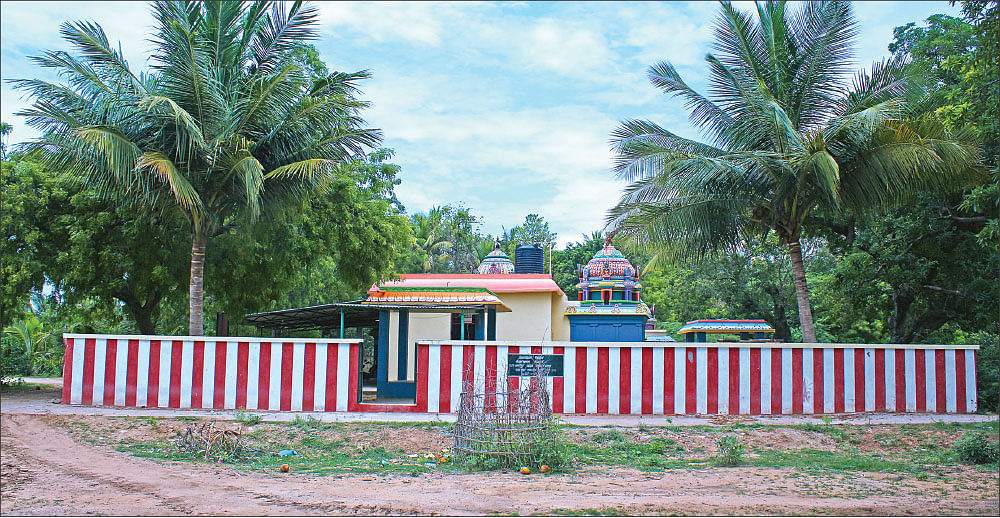 ஆறு விரல்களுடன் அபூர்வ மகாலட்சுமி!