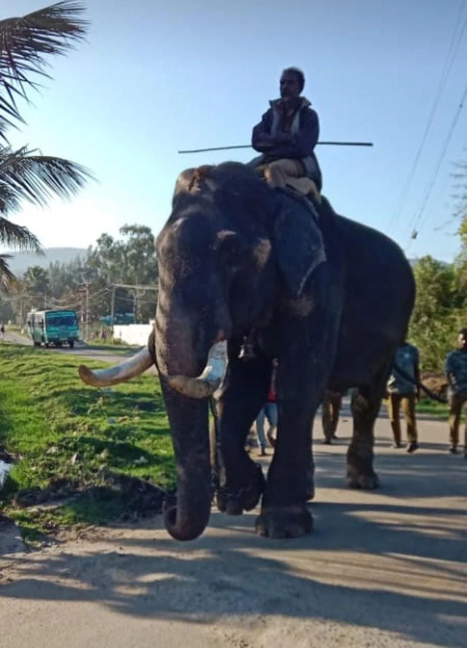 கும்கி