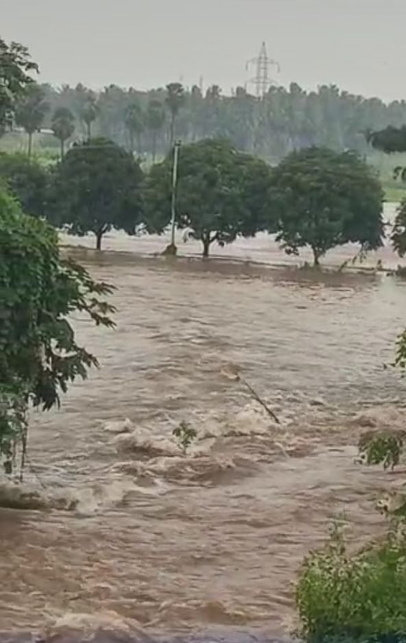 விளைநிலங்களுக்குள் புகுந்த வாய்க்கால் உடைப்பு நீர்.