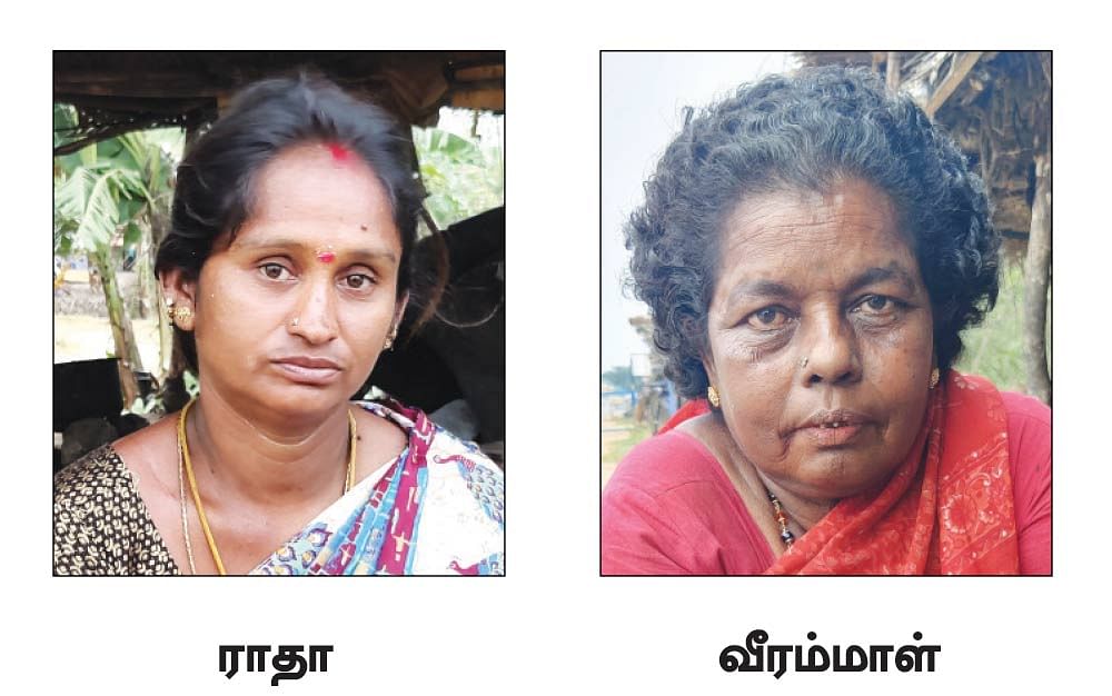 மனம் மயக்கும் மணம்... ஆதனக்கோட்டை முந்திரிப் பருப்பு!