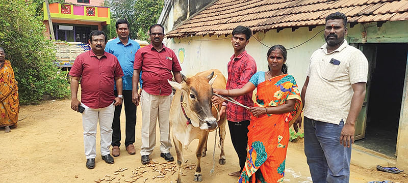 பானுமதிக்கு கறவை மாடு வழங்குதல்