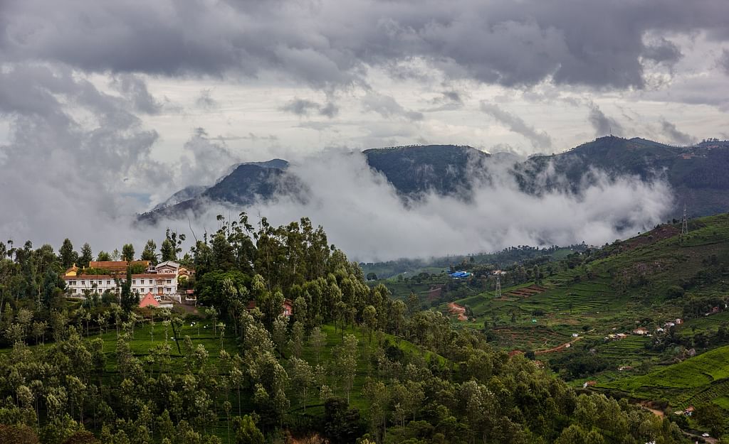 Ooty