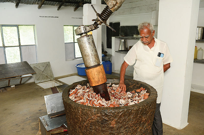 செக்கு