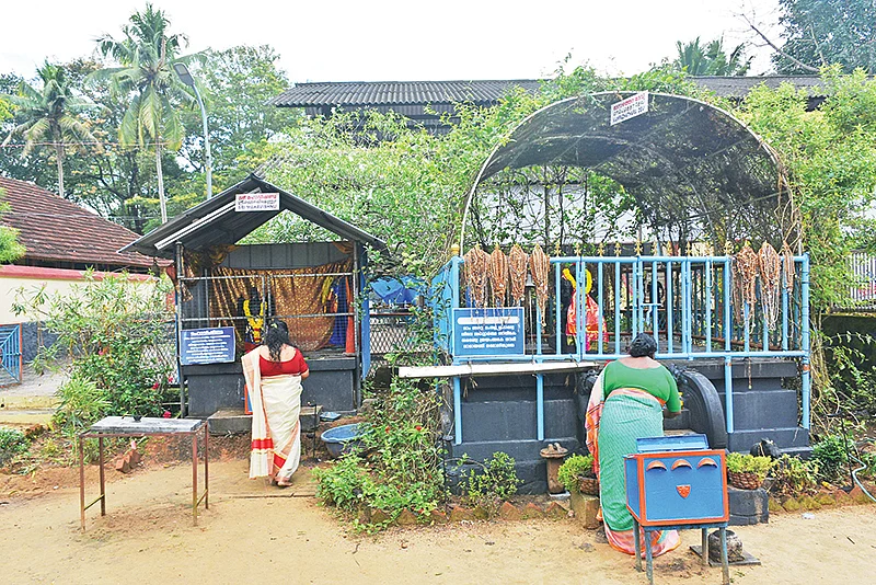 குளத்துப்புழை