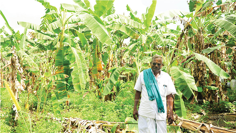 வாழைத்தோட்டத்தில் வேணுகோபால்