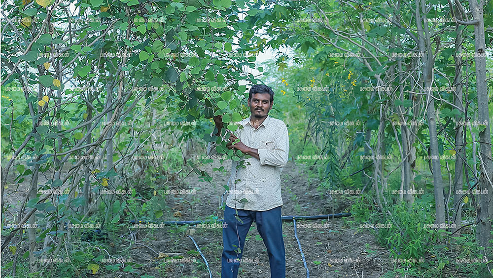 பண்ணையில் கருப்பசாமி