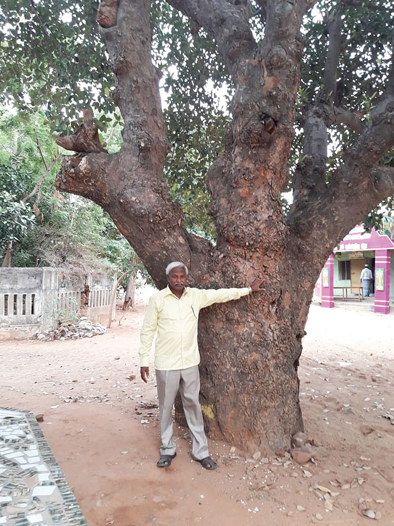 ஹரிதாஸ்