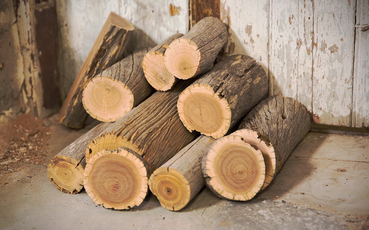 கிருஷ்ணகிரி: வனத்தில் சந்தன மரங்கள் வெட்டிக் கடத்தல் - நால்வர் கைது, ஒரு லட்சம் ரூபாய் அபராதம்!