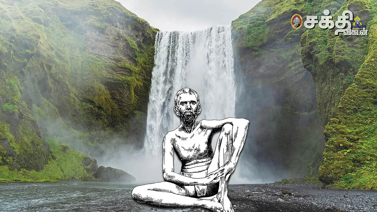 ஶ்ரீரமணர்