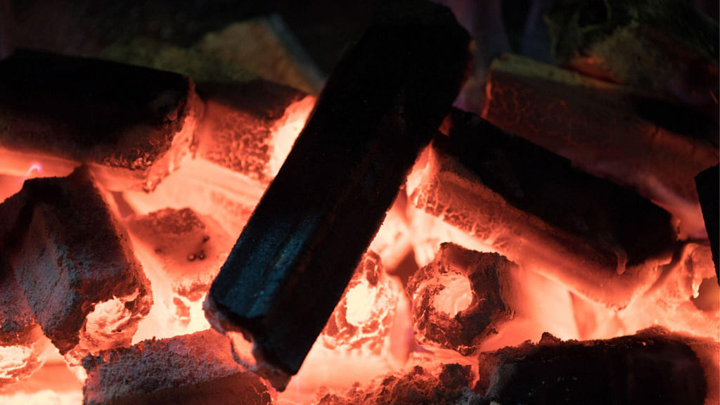 பயோ பிரிக்கெட்ஸ் (Bio-Briquettes)