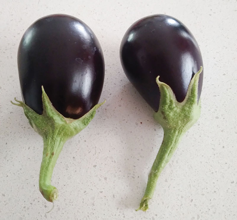 கத்திரிக்காய்கள்