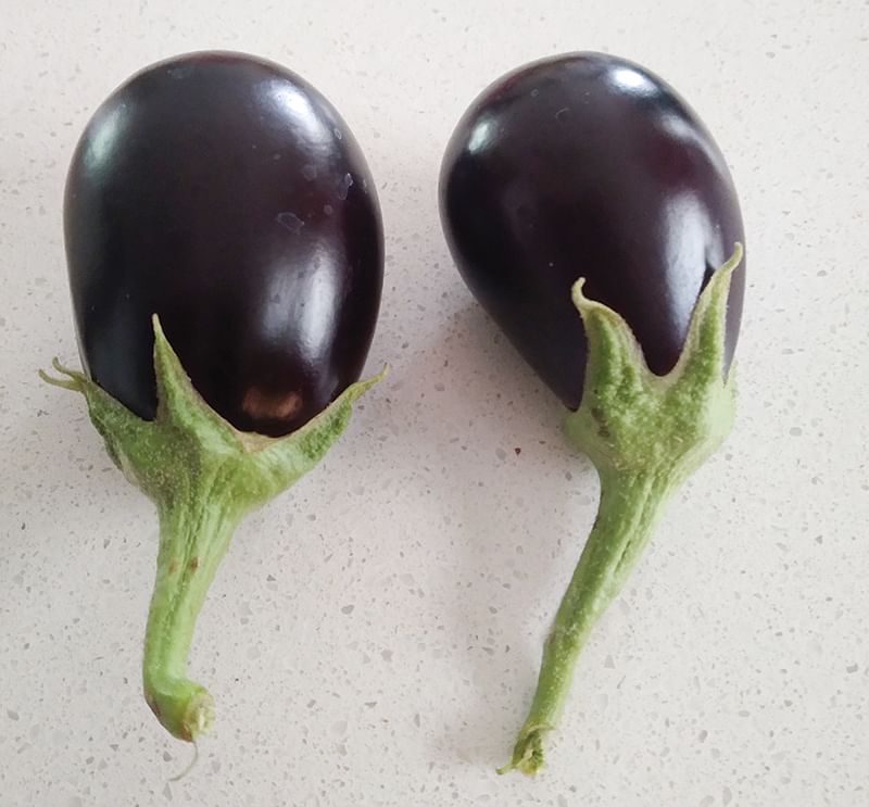 கத்திரிக்காய்கள்