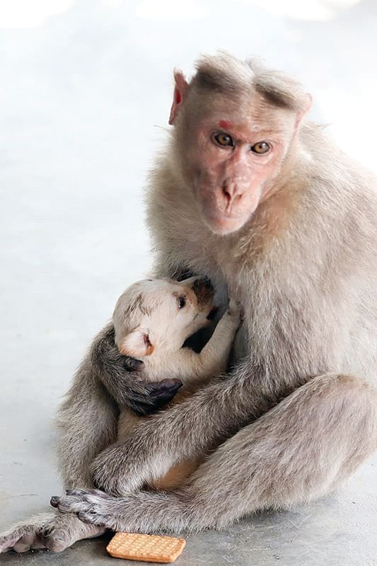 இன்பாக்ஸ்