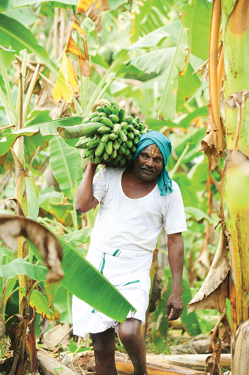 வாழைத்தோட்டத்தில் வேணுகோபால்