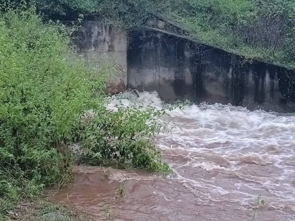 இடதுகரை உடைப்பு வழியாக வெளியேறும் வாய்க்கால் நீர்.
