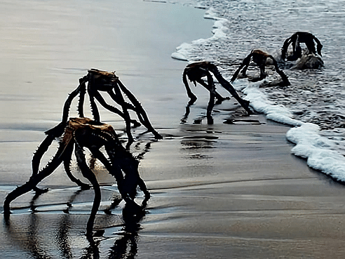 `கடற்கரையில் ஏலியன்கள்!' - குழம்பிய மக்கள், வைரல் புகைப்படம் | #ViralPhoto