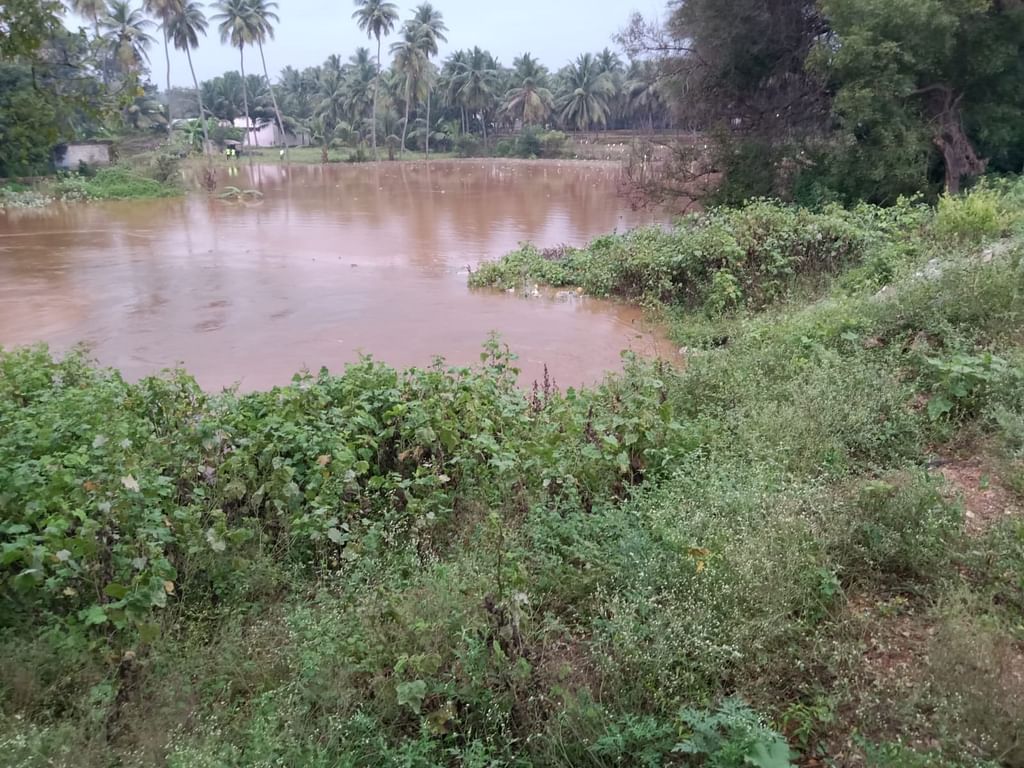 வலதுகரை உடைப்பு வழியாக வெளியேறும் வாய்க்கால் நீர்.