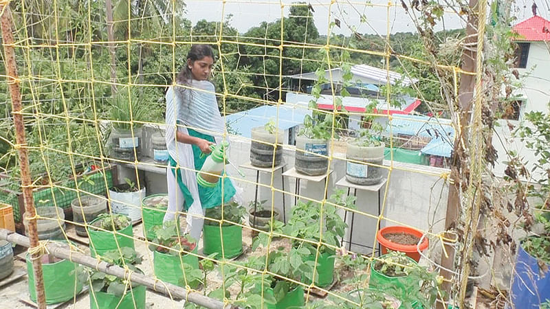 தண்ணீர் ஊற்றும் பணி