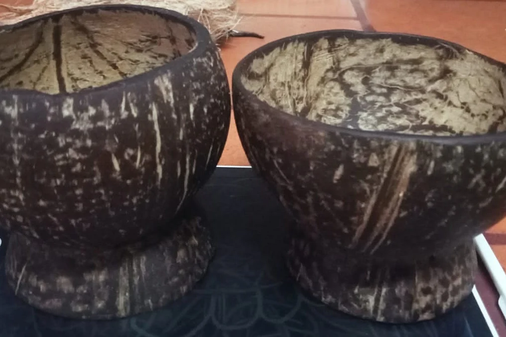 தேங்காய் ஓடுகள்