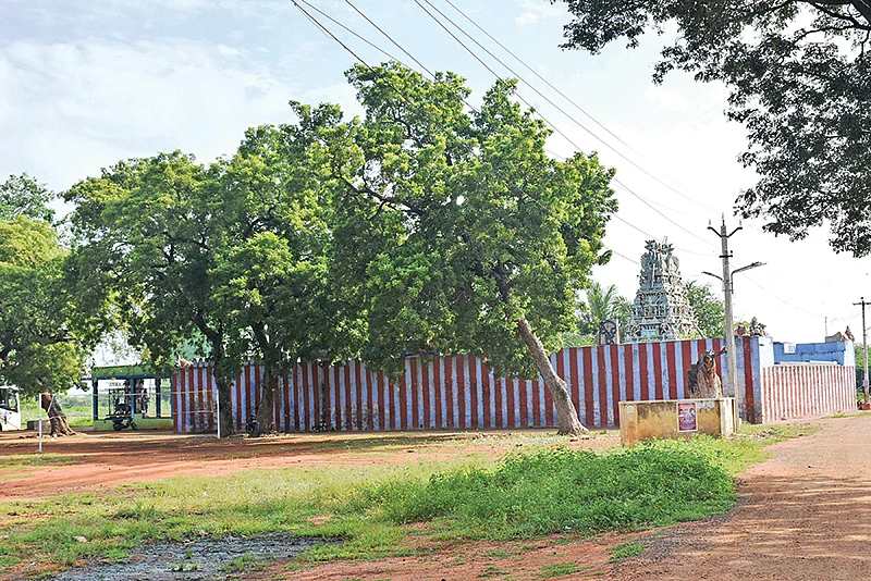 ஓட்டப்பிடாரத்தில் ஒருநாள்!