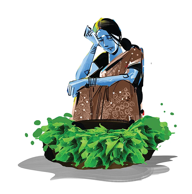 இரண்டு பறவைகள் - சிறுகதை