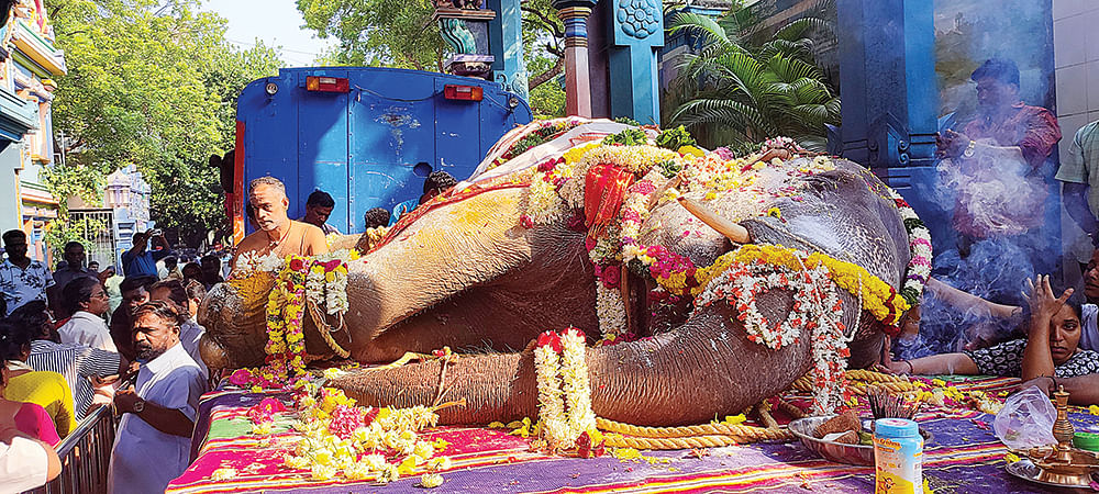 யானை லட்சுமி