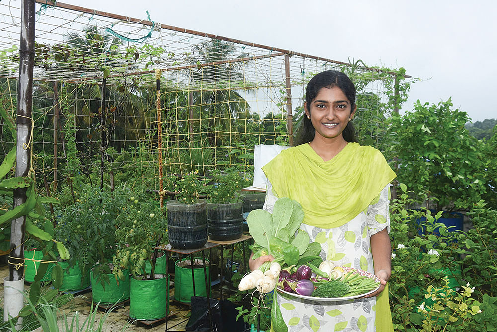 மாடித்தோட்டத்தில்