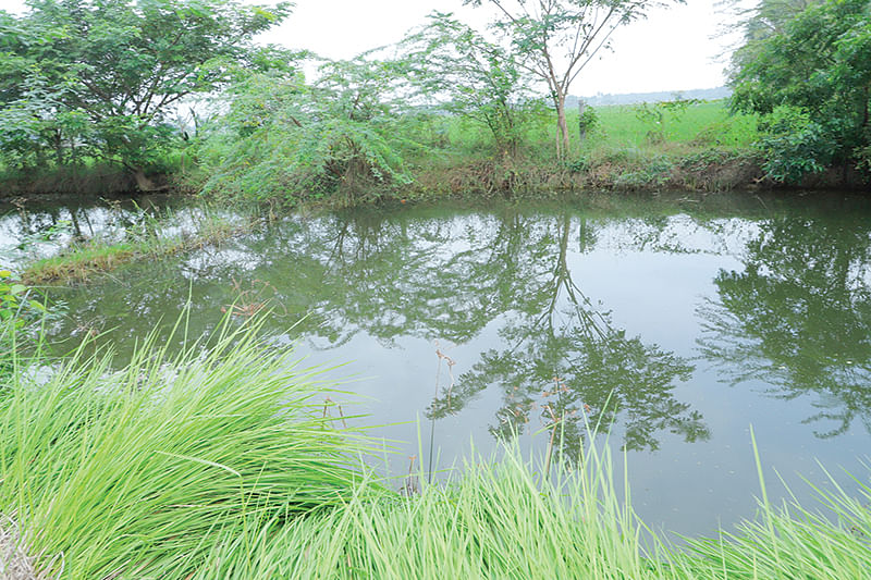 குளம்