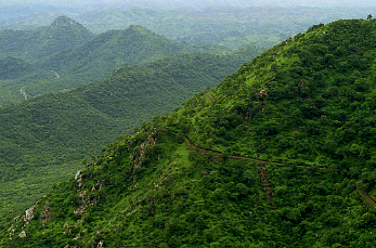 ஏரியில் கட்டிய பண்ணை வீடு; பாடகரின் வீட்டுக்கு சீல் - அதிகாரிகள் அதிரடி!