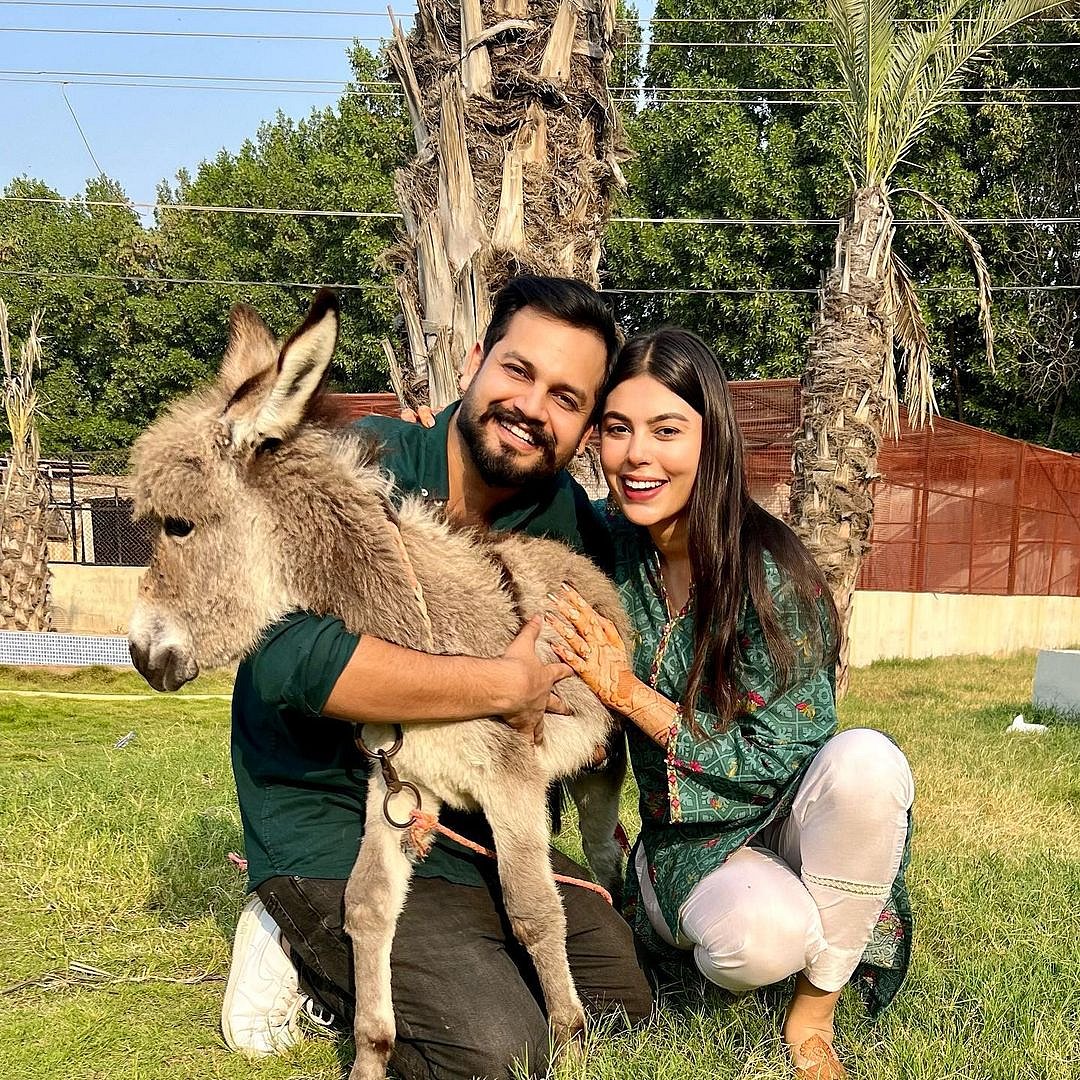 டெடி பியரெல்லாம் ஓல்டு ஸ்டைல்... கழுதைக்குட்டி கொடுத்து மணமகளை இம்ப்ரெஸ் செய்த மணமகன்!