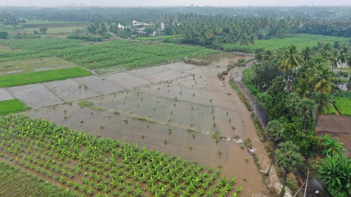 வாய்க்கால் உடைப்பால் தண்ணீரில் மூழ்கிய விளைநிலங்கள்