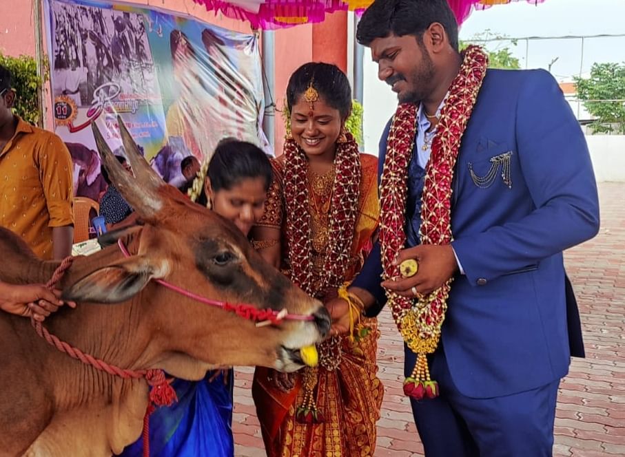ஜல்லிக்கட்டு காளைக்கு உச்சரிப்பு