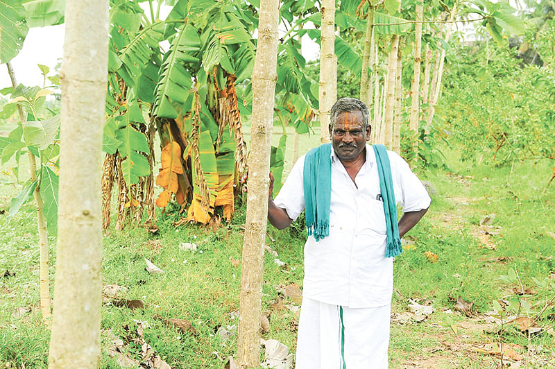 பண்ணையில்