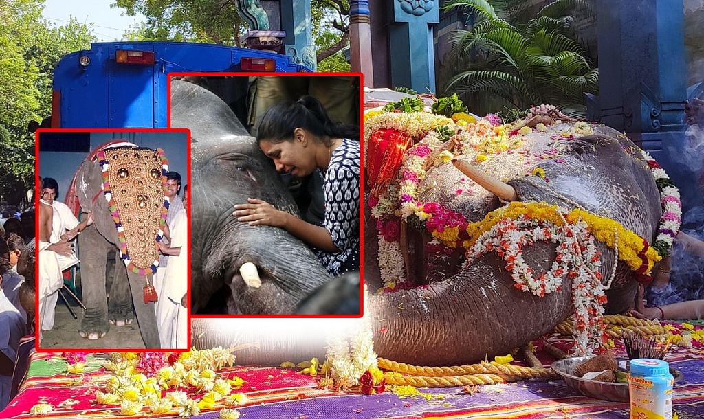 மணக்குள விநாயகர் யானை லட்சுமி