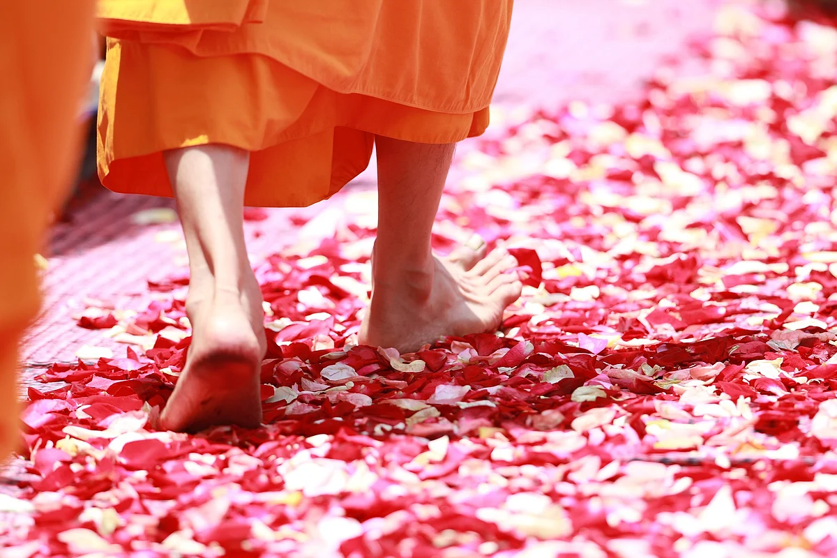 monk (Representational image)